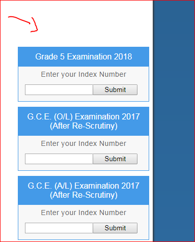 View Exam Results
