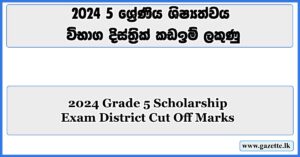 2024 Grade 5 Scholarship-Marks