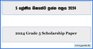 2024-scholarship-paper