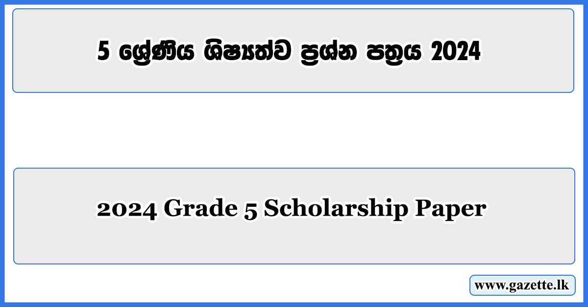 2024-scholarship-paper