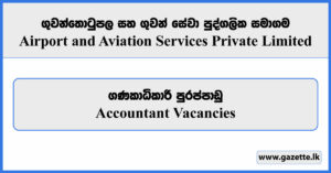 Accountant - Airport and Aviation Services Private Limited Vacancies 2024