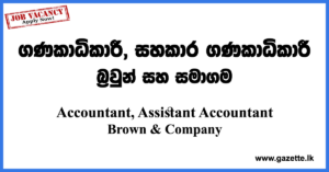 Assistant Accountant Vacancies