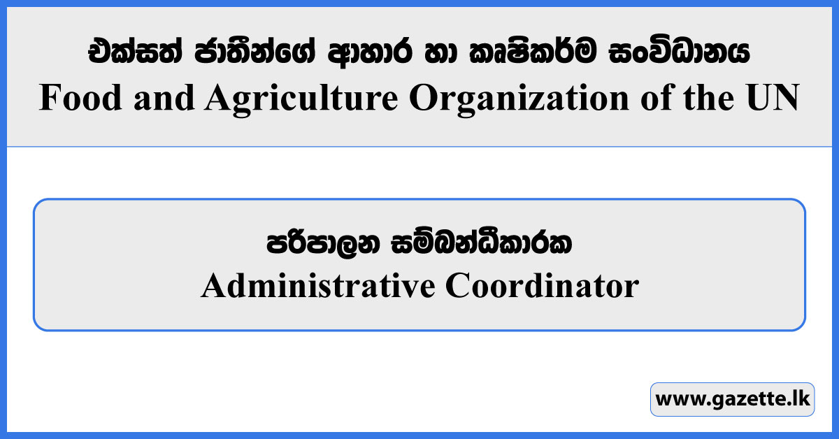 Administrative Coordinator - Food and Agriculture Organization Vacancies 2024