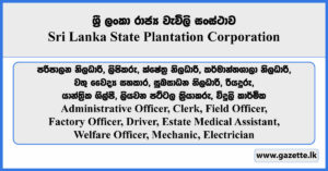 Administrative Officer, Clerk, Field Officer, Medical Assistant, Driver, Electrician - Sri Lanka State Plantation Corporation Vacancies 2024