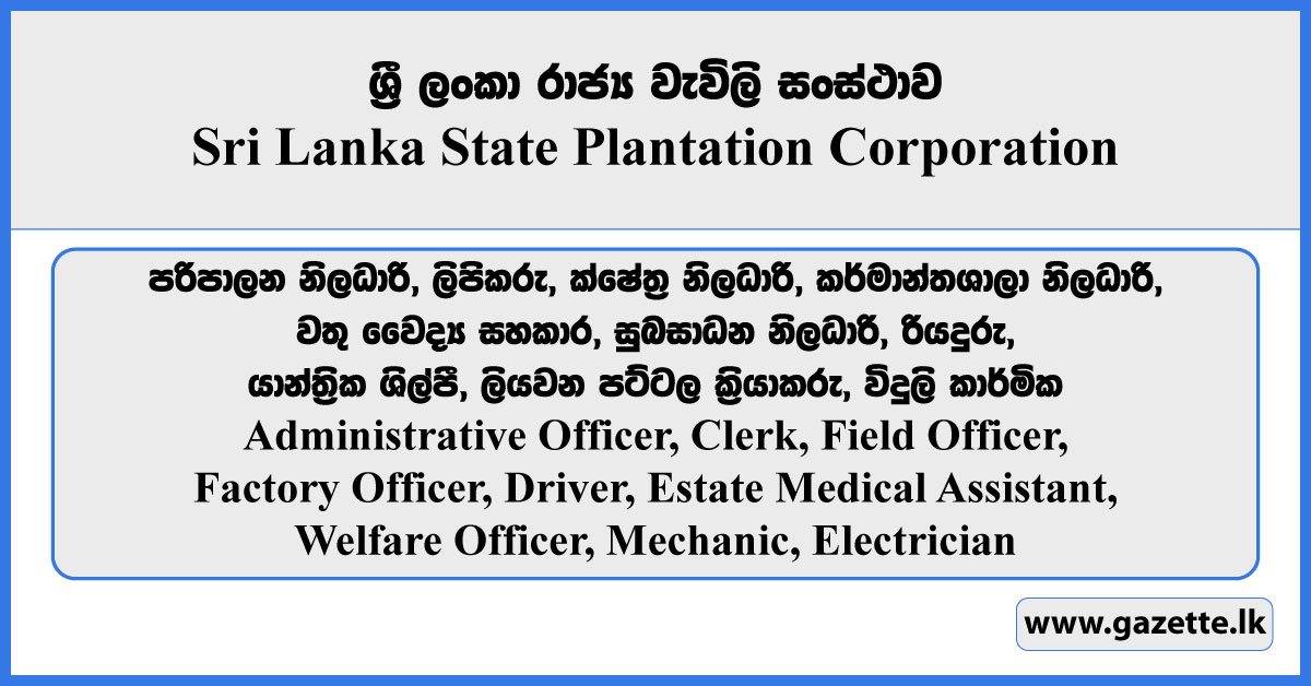 Administrative Officer, Clerk, Field Officer, Medical Assistant, Driver, Electrician - Sri Lanka State Plantation Corporation Vacancies 2024