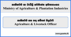 Agriculture & Livestock Officer (Smallholder Agribusiness & Resilience Project) - Ministry of Agriculture Vacancies 2024