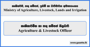 Agriculture & Livestock Officer - Ministry of Agriculture, Livestock, Lands and Irrigation Vacancies 2024