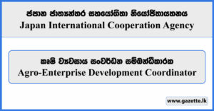 Agro-Enterprise Development Coordinator - Japan International Cooperation Agency Vacancies 2024
