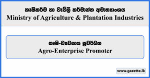 Agro-Enterprise Promoter (Smallholder Agribusiness & Resilience Project) - Ministry of Agriculture Vacancies 2024