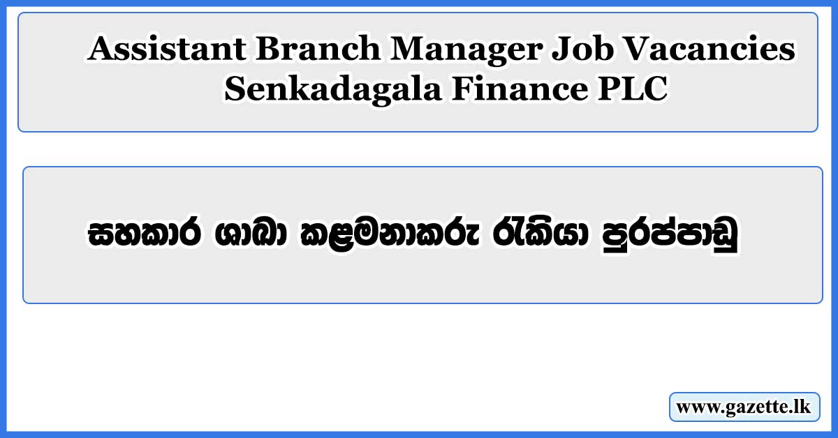 Assistant Branch Manager Job Vacancies