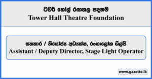 Director, Stage Light Operator - Tower Hall Theatre Foundation Vacancies 2024