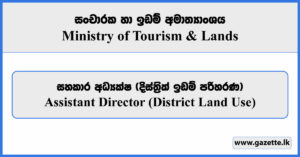 Assistant Director (District Land Use) - Ministry of Tourism & Lands Vacancies 2024