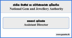 Assistant Director - National Gem & Jewellery Authority Vacancies 2024