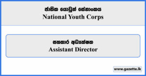 Assistant Director - National Youth Corps Vacancies 2025