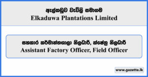 Assistant Factory Officer, Field Officer - Elkaduwa Plantations Limited Vacancies 2024