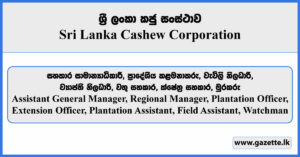 Assistant General Manager, Regional Manager, Plantation Officer, Extension Officer, Plantation Assistant, Field Assistant, Watchman