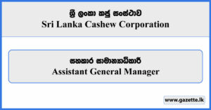 Assistant General Manager - Sri Lanka Cashew Corporation Vacancies 2025