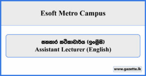 Assistant Lecturer (English) - Esoft Metro Campus Vacancies 2024