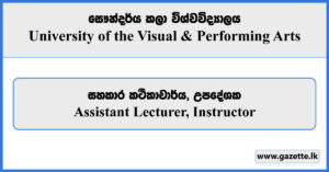 Assistant Lecturer, Instructor - University of the Visual & Performing Arts Vacancies 2024