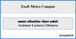 Assistant Lecturer (Matara) - Esoft Metro Campus Vacancies 2024