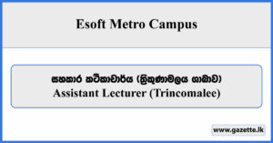 Assistant Lecturer (Trincomalee) - Esoft Metro Campus Vacancies 2024