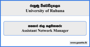 Assistant Network Manager - University of Ruhuna Vacancies 2024