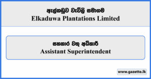 Assistant Superintendent - Elkaduwa Plantations Limited Vacancies 2024