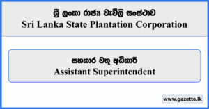 Assistant Superintendent - Sri Lanka State Plantation Corporation Vacancies 2024