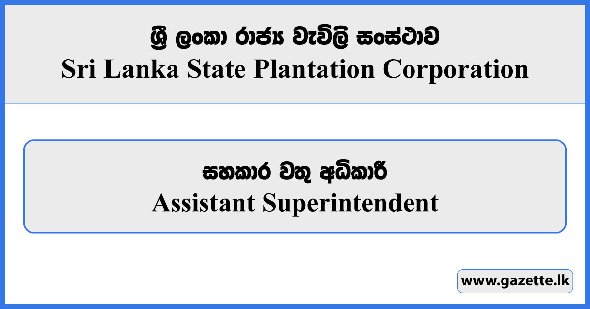 Assistant Superintendent - Sri Lanka State Plantation Corporation Vacancies 2024