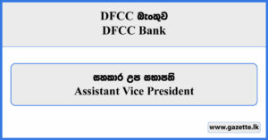 Assistant Vice President - DFCC Bank Vacancies 2024