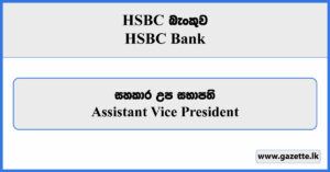 Assistant Vice President - HSBC Bank Vacancies 2024