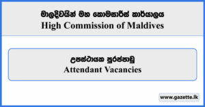 Attendant - High Commission of Maldives Vacancies 2024