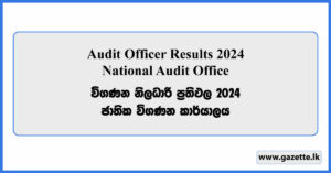 Audit Officer Results 2024 - National Audit Office