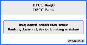 Banking Assistant, Senior Banking Assistant - DFCC Bank Vacancies 2024