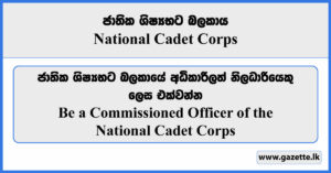 Be a Commissioned Officer of the National Cadet Corps - National Cadet Corps Vacancies 2024