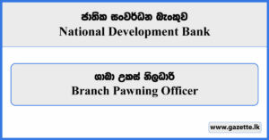 Branch Pawning Officer - National Development Bank Vacancies 2024