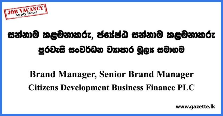 brand-manager-senior-brand-manager-citizens-development-business