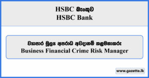 Business Financial Crime Risk Manager - HSBC Bank Vacancies 2024