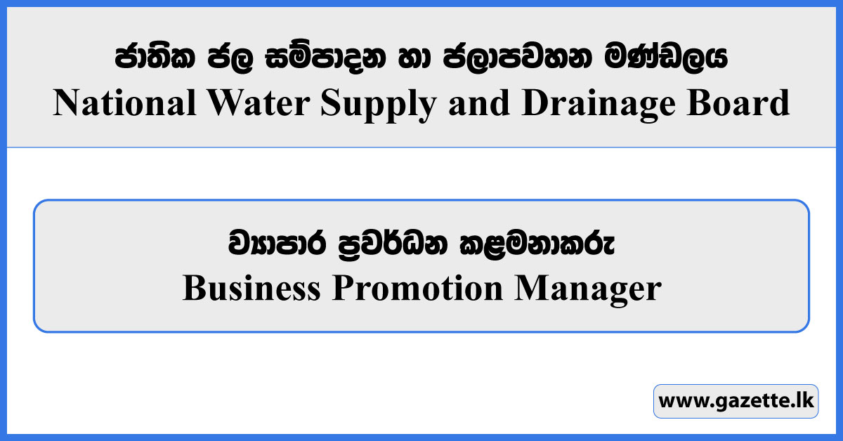 Business Promotion Manager - National Water Supply and Drainage Board Vacancies 2024