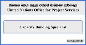 Capacity Building Specialist - United Nations Office for Project Services Vacancies 2024