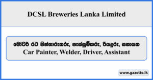 Car Painter, Welder, Driver, Assistant - DCSL Breweries Lanka Limited Vacancies 2024