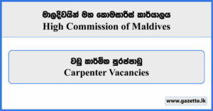 Carpenter - High Commission of Maldives Vacancies 2024