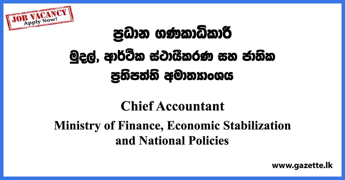 Chief Accountant Ministry Of Finance Economic Stabilization And 