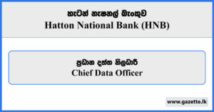 Chief Data Officer - Hatton National Bank Vacancies 2024
