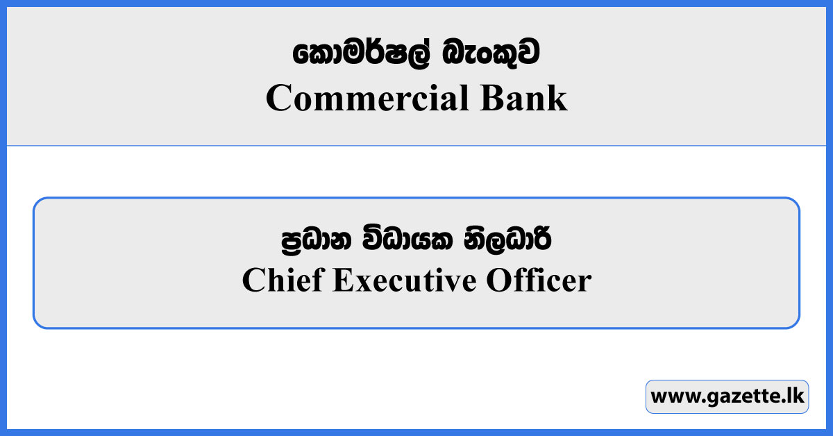 Chief Executive Officer - Commercial Bank Vacancies 2024