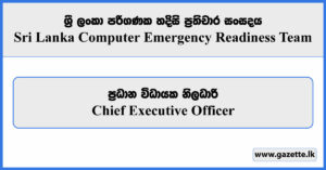 Chief Executive Officer - Sri Lanka Computer Emergency Readiness Team Vacancies 2024