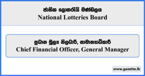 Chief Financial Officer, General Manager - National Lotteries Board Vacancies 2024