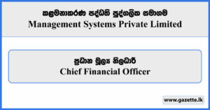 Chief Financial Officer - Management Systems Private Limited Vacancies 2025