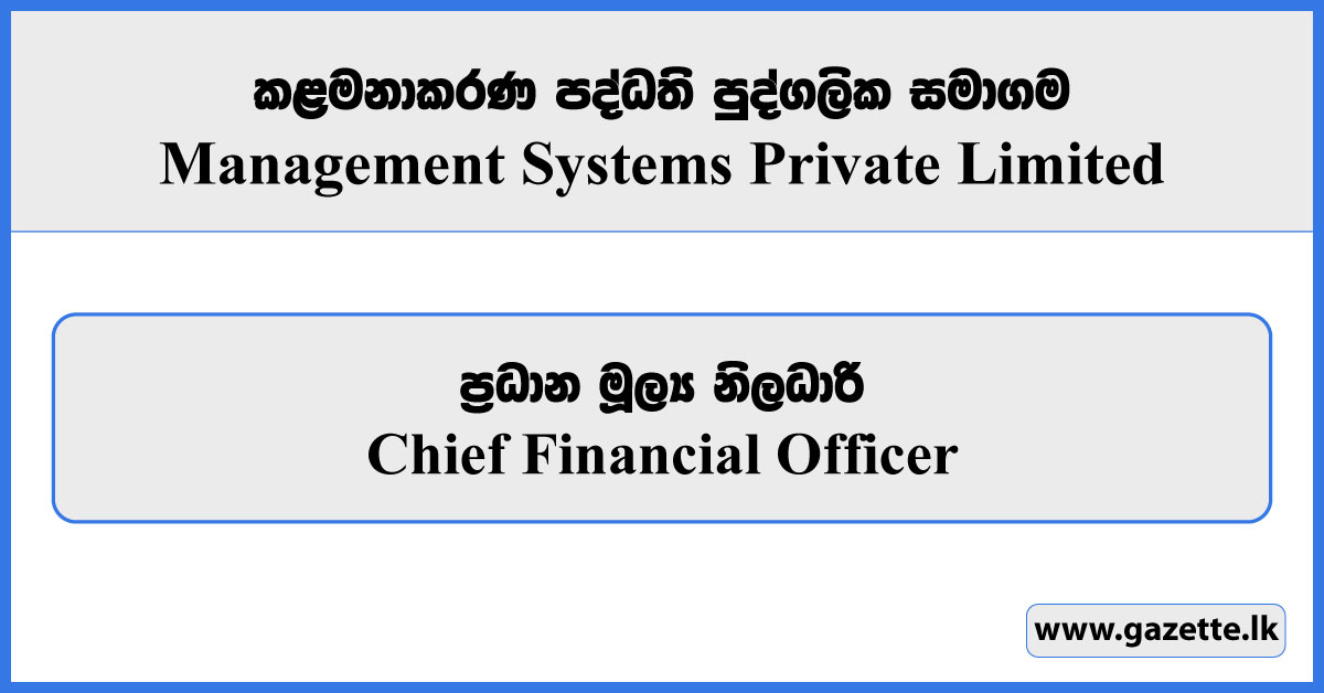 Chief Financial Officer - Management Systems Private Limited Vacancies 2024