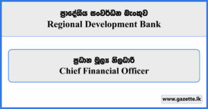 Chief Financial Officer - Regional Development Bank Vacancies 2024